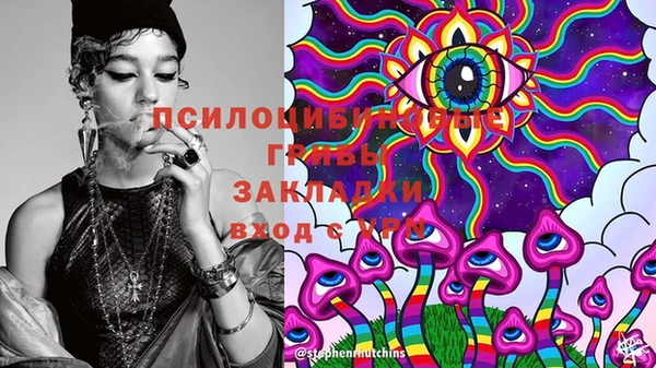 МДПВ Алексеевка